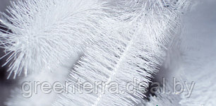 Сосна интерьерная "Рублевская" белая 3.5 м, фото 2