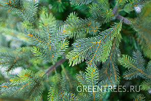 Ель Сказочная (Литье и хвоя пленка) Green Trees 3,5 метра, фото 2