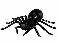 ИК Паук Best Fun Toys 9991 Spider свет, фото 2