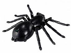 ИК Паук Best Fun Toys 9991 Spider свет, фото 3