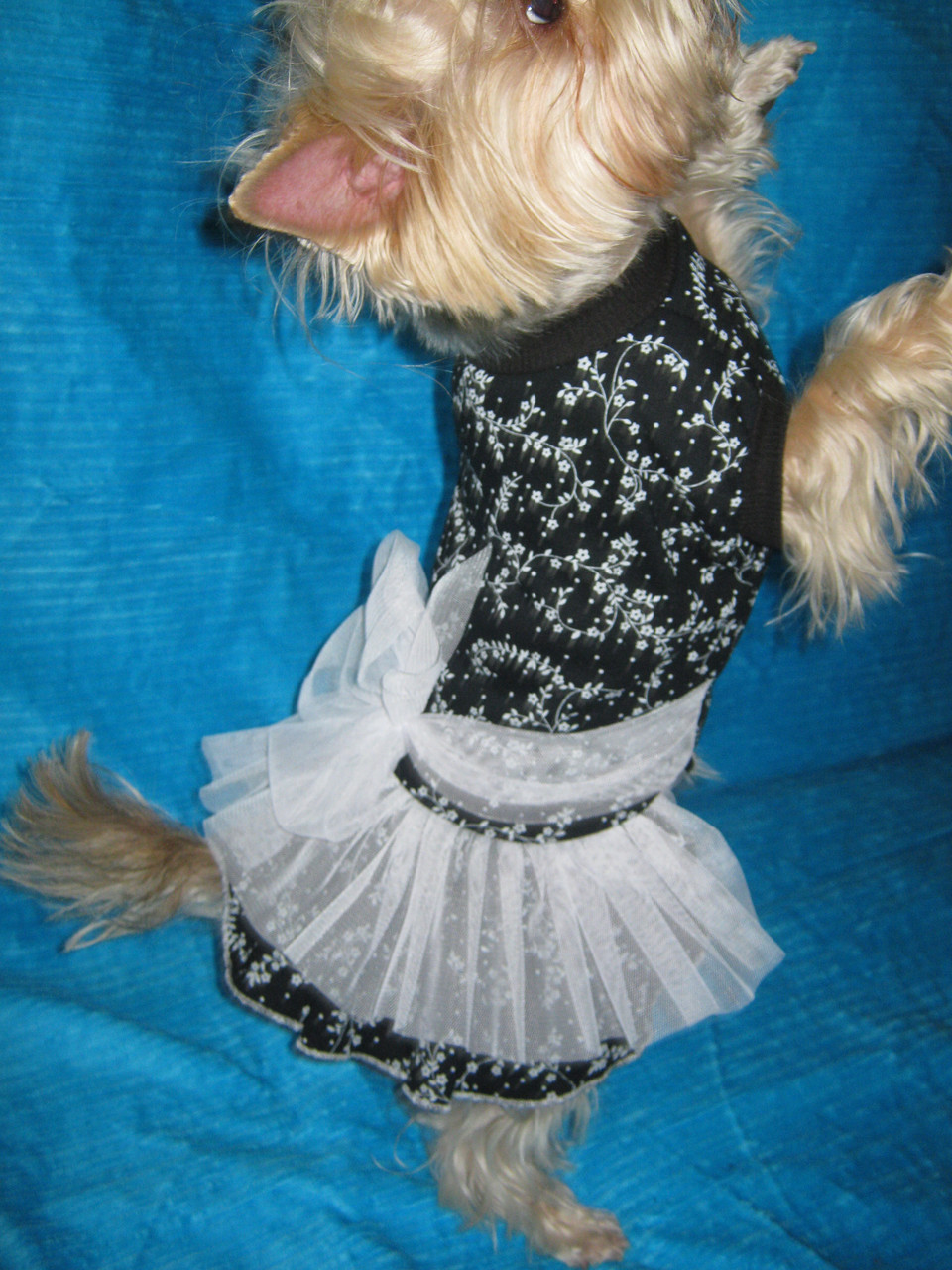 Платье для собаки "Белые цветы" - фото 3 - id-p136832318