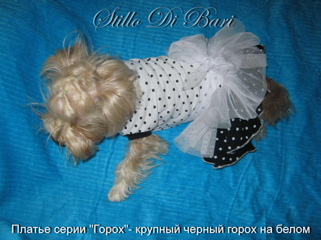 Платье для собаки "Крупный Горох на белом" - фото 1 - id-p136834675
