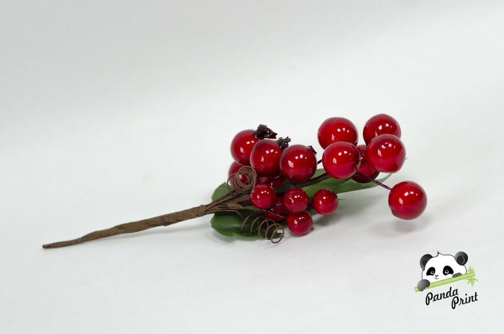 Ветка красных ягод с листиком