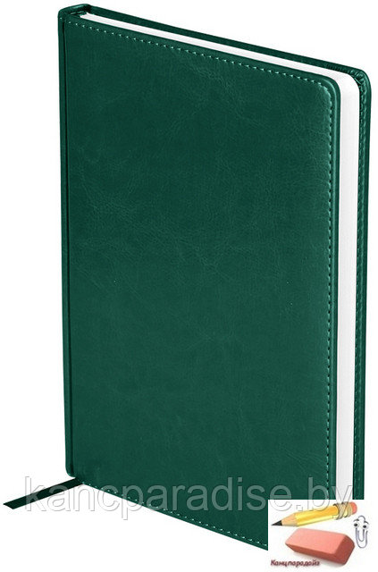 Ежедневник датированный Nebraska А5 на 2021 год, кожзам, 176 листов, зеленый - фото 1 - id-p136921690