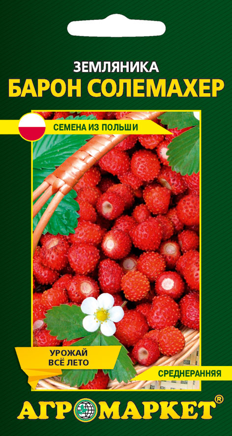 Земляника сорт солемахер отзывы. Земляника Барон Солемахер. Семена земляники Барон Солемахер. Земляника Барон Солемахер (0,04г). Земляника Барон Солемахер 0,04г Аэлита.