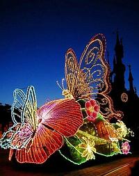 Световая бабочка