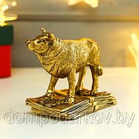 Сувенир полистоун "Золотой бык на золотых купюрах" 8,5х4,7х11 см, фото 3