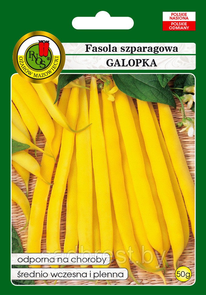 Семена Фасоль карликовая спаржевая Галопка PNOS (50 гр) Польша