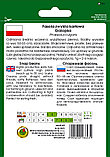 Семена Фасоль карликовая спаржевая Галопка PNOS  (50 гр) Польша, фото 2