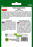 Семена Фасоль карликовая спаржевая Полька PNOS  (50 гр) Польша, фото 2