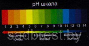 Набор Тест-система для измерения кислотности почвы Лакмусовые полоски Ферти + Ferti+ - фото 2 - id-p137071759