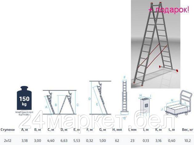 PRO STARTUL Россия Лестница алюм. 2-х секц. 300/553см 2х12 ступ., 10,2кг PRO STARTUL (ST9947-12), фото 2