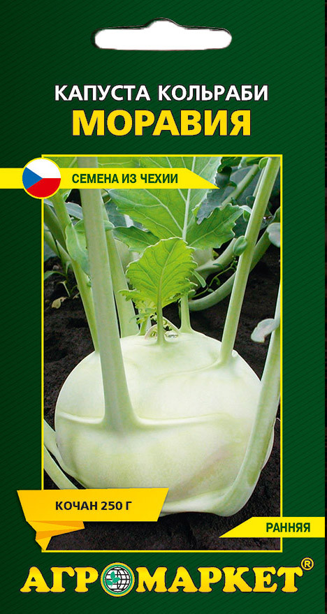 Семена Капуста кольраби Моравия, 0,5 г