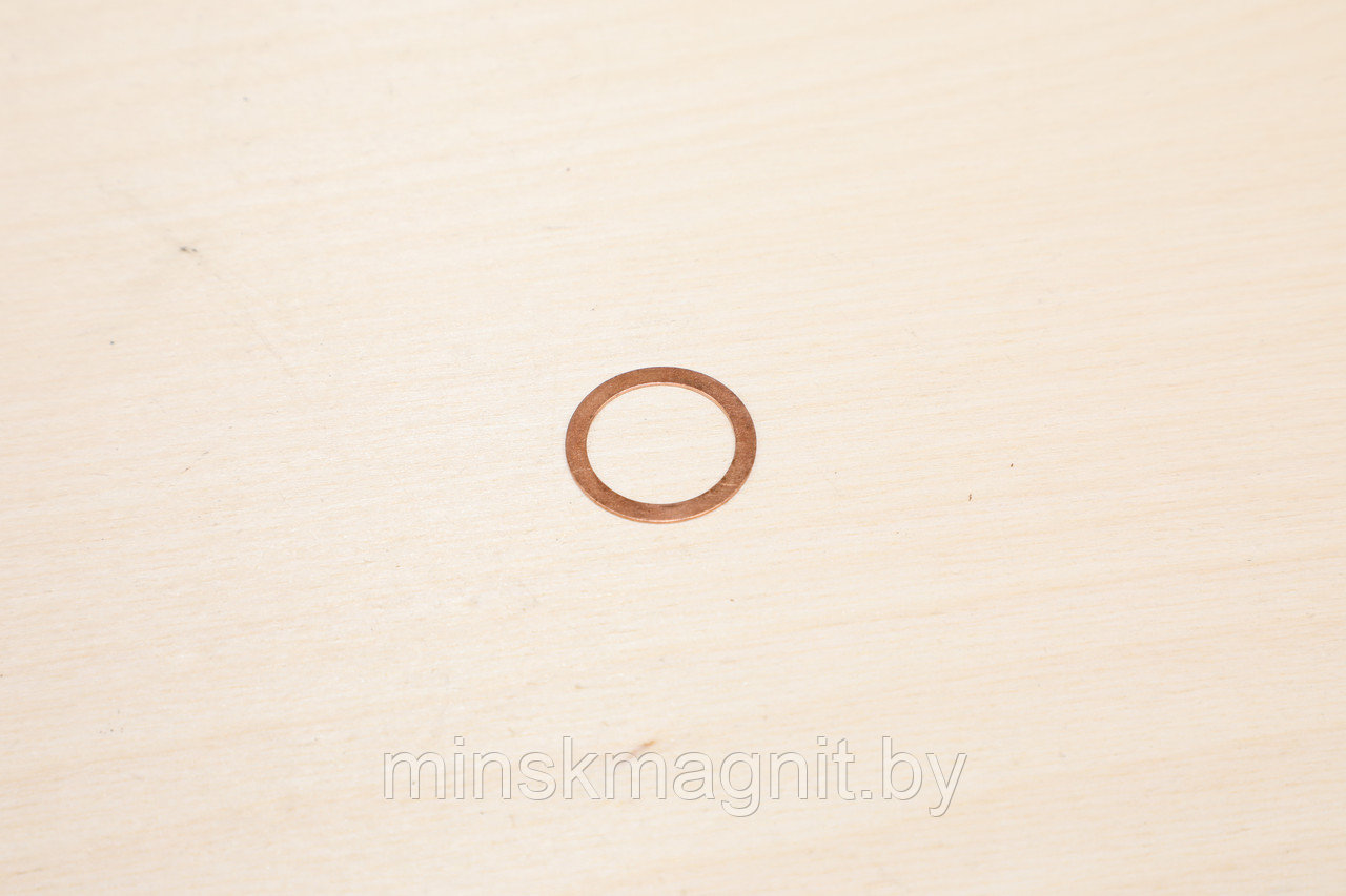 Шайба медная 18-24 1/02599-60 МАЗ