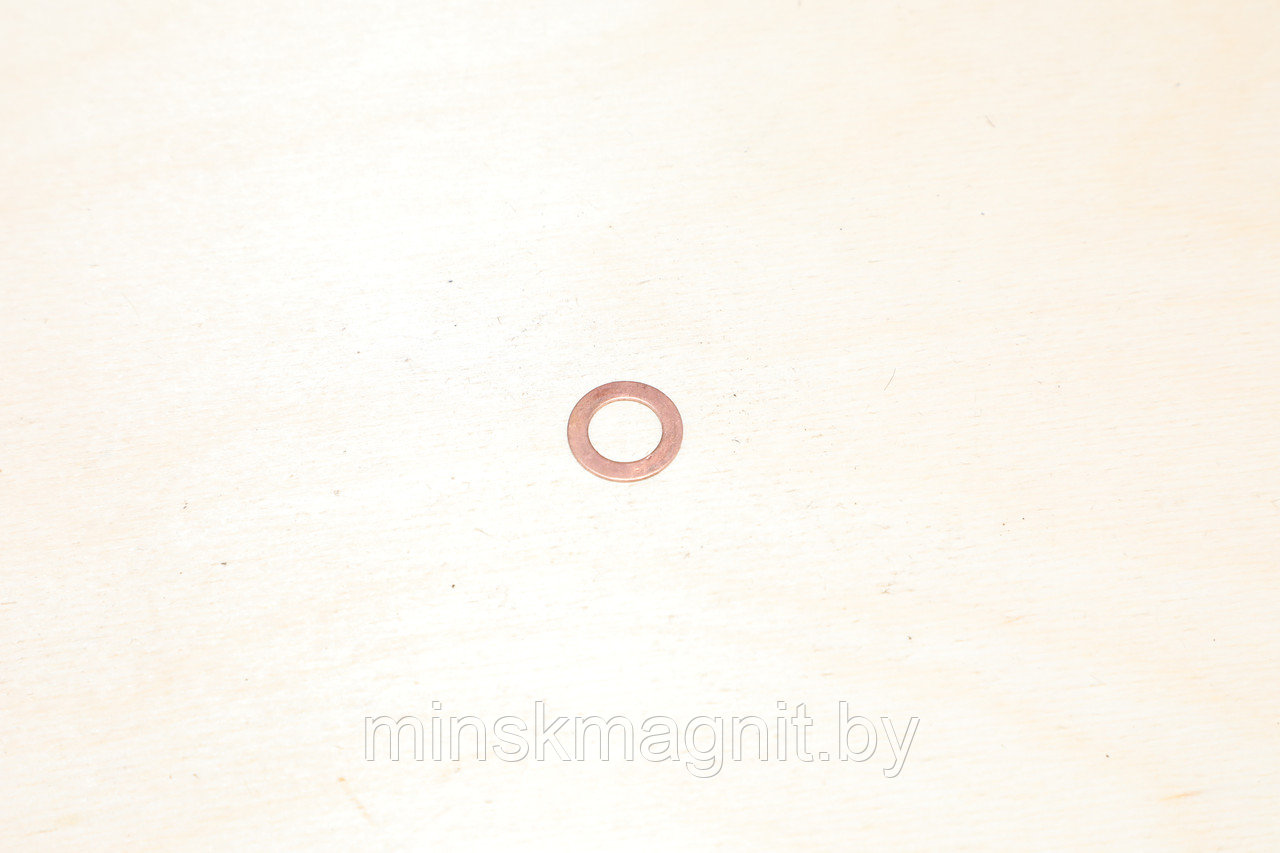 Шайба медная 10-14 312482-П МАЗ