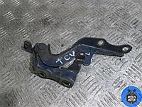 Петля капота TOYOTA Corolla Verso (2001-2008) 2.0 D-4D 2006 г.