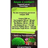 Ноябрь — время скидок в Садовом центре GreenHippo