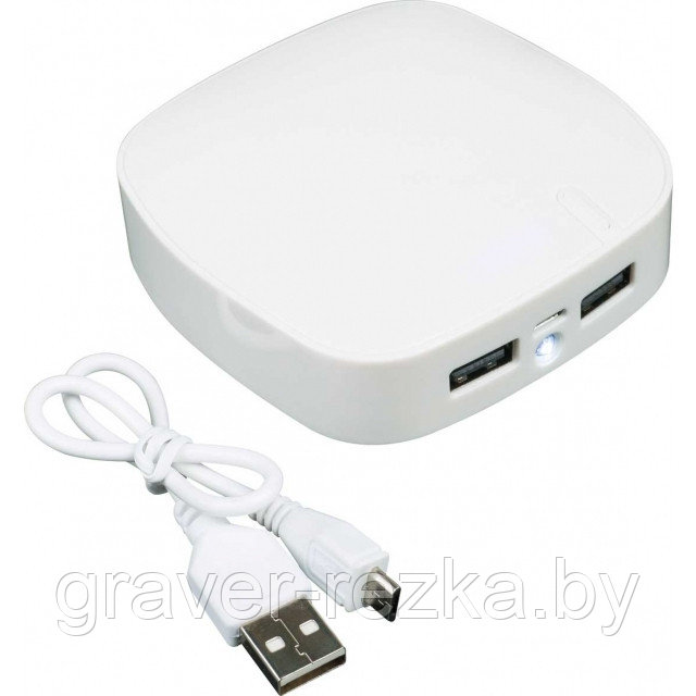 Портативное зарядное устройство (повербанк,пауэрбанк, powerbank, power bank, зарядное устройство) Easy Gifts - фото 1 - id-p137307667