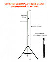 Кольцевая светодиодная LED лампа L5 33 см + пульт + штатив 2,1 метра, фото 5