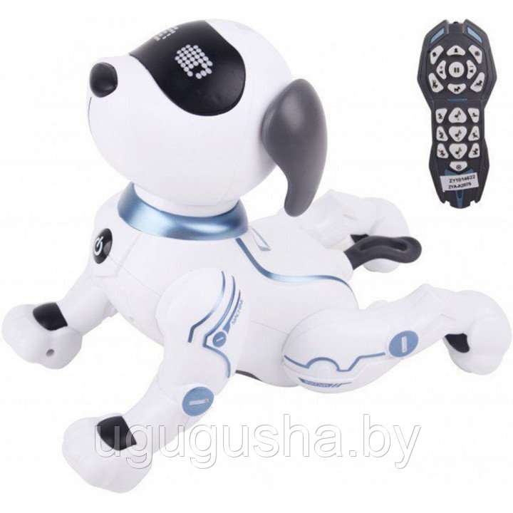 Радиоуправляемая собака-робот ZHORYA "Умный Питомец Собачка" - фото 2 - id-p137547036
