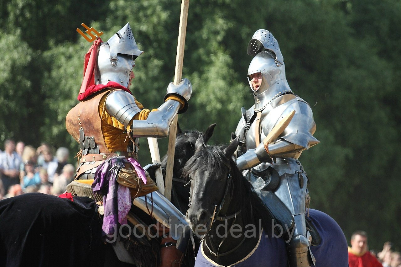 Турнир конных рыцарей на корпоративе - фото 6 - id-p2950354