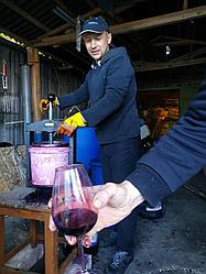 Краткая пошаговая инструкция изготовления красных вин