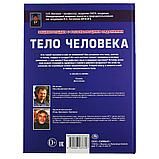 Тело человека (энциклопедия А3) , "Умка", твёрдый переплёт., фото 6