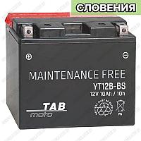 TAB Maintenance Free AGM MYT12B-BS