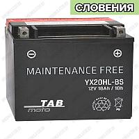 TAB Maintenance Free AGM MYTX20HL-BS