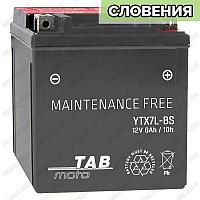 TAB Maintenance Free AGM MYTX7L-BS