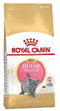Сухой корм для котят Royal Canin British Shorthair Kitten 10 кг