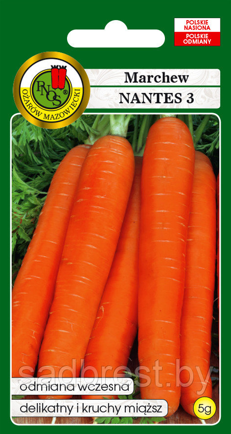 Семена Морковь Нантская 3 PNOS (5 гр) Польша - фото 1 - id-p137892642