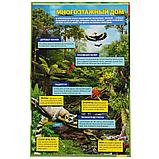 Тропические леса (энциклопедия А4) , "Умка", твёрдый переплёт., фото 4