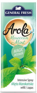Освежитель воздуха - запасной "MAGIC INTERIOR" General Fresh марроканская мята