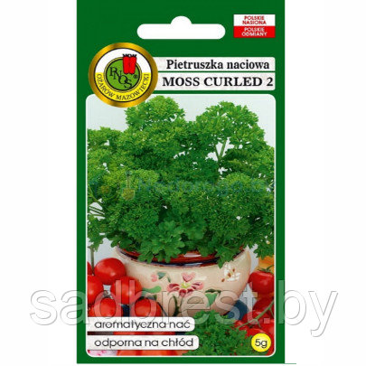 Семена Петрушка курчавая Мусс Курлед 2 PNOS (5 гр) Польша