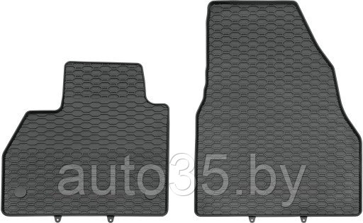 Коврики Салонные для Renault Kangoo II (08-) / MB Citan (12-) (1-й ряд) - фото 1 - id-p137908462