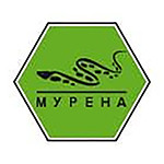 Логотип Мурена