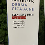 Очищающая пенка анти-акне EVAS Panthestiс Derma Cica Acne Cleansing Foam, 140 мл, фото 2