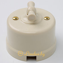 Ретро выключатель 1-кл поворотный проходной пластик слоновая кость, 10А., фото 3