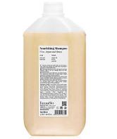 Шампунь питательный для сухих волос с аргановым маслом и медом Back Bar Nourishing Shampoo №02, 5л (Farmavita)