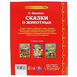 «Умка» «Сказки о животных» Р. Киплинг (Серия золотая классика). Твёрдый переплёт. Бумага офсетная., фото 6