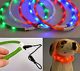 Ошейник светодиодный для собак и кошек с USB, фото 2
