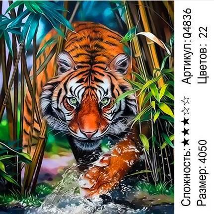 Рисование по номерам Взгляд тигра (Q4836) - фото 1 - id-p138370725