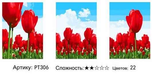 Картина по номерам Триптих Море тюльпанов (PT306) - фото 1 - id-p138370761