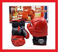 BB07-10 Перчатки для бокса детские, набор детских перчаток для бокса, 23х15 см