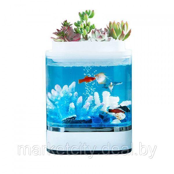 Аквариум Xiaomi Geometrc Lazy Fish Tank (HF-JHYG005) - фото 4 - id-p138392920