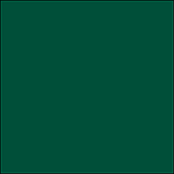 ЭМАЛЬ ВД-АК-1179 УНИВЕРСАЛЬНАЯ «ГЛЯНЦЕВАЯ» зеленая RAL 6005 1кг VGT, фото 2