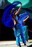 Танец живота, восточный танец, арабские танцевальные номера в Минске, фото 5