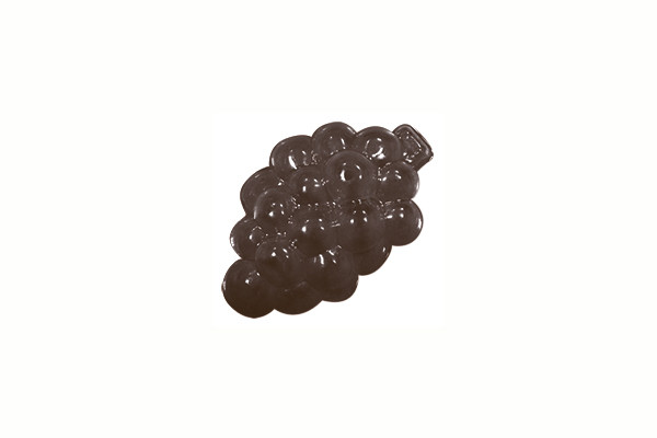 Форма для шоколадных украшений "Фруктовое ассорти" - фото 5 - id-p138469006