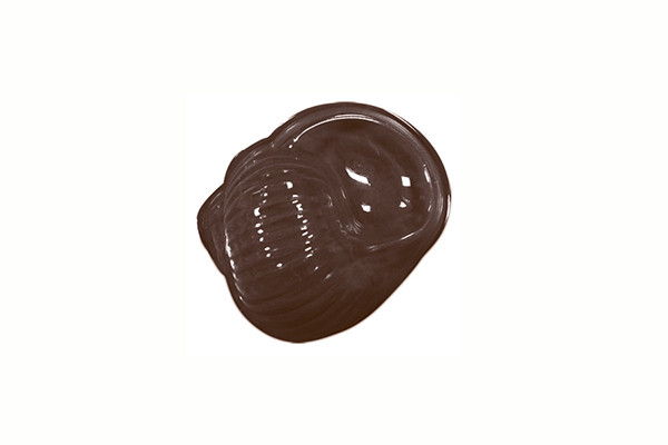 Форма для шоколадных украшений "Морские обитатели" - фото 1 - id-p138482782